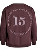 Sweatshirt met statementdetail, Bruin, Packshot image number 1