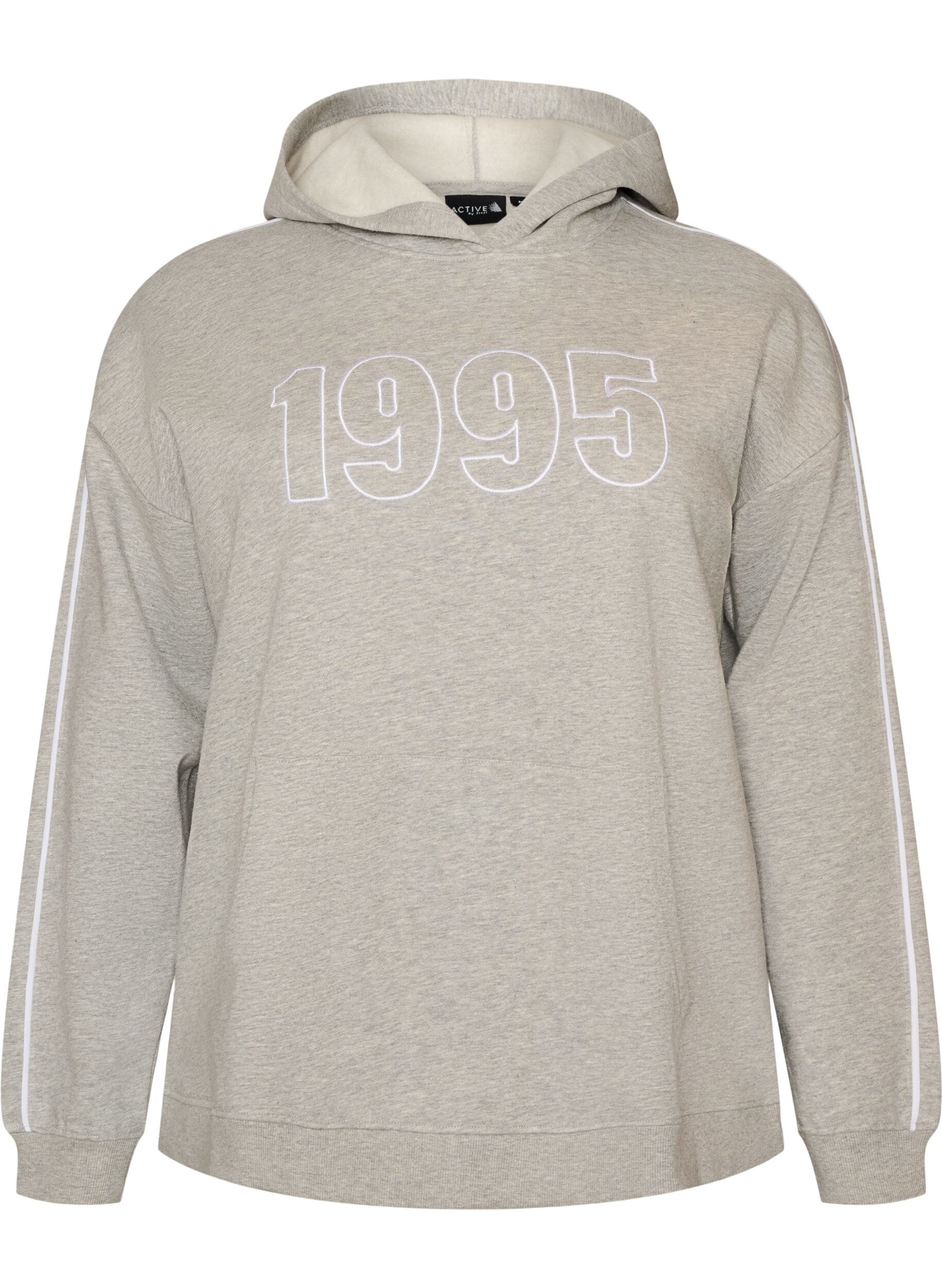 ZizziHoodie met geborduurd motief, Grijs, Packshot image number 0