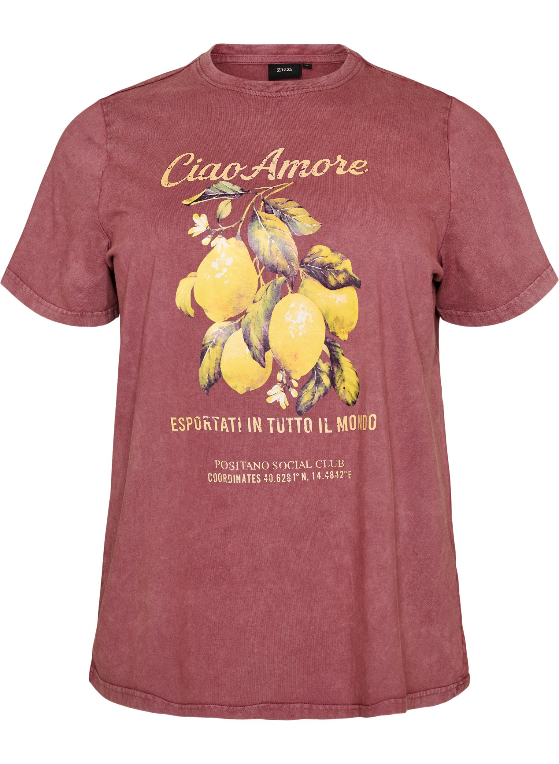 ZizziKatoenen T-shirt met print aan de voorkant en een gewassen look, Rood, Packshot image number 0
