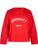 Sweatshirt met verhoogde tekstdesign, Rood, Packshot image number 0