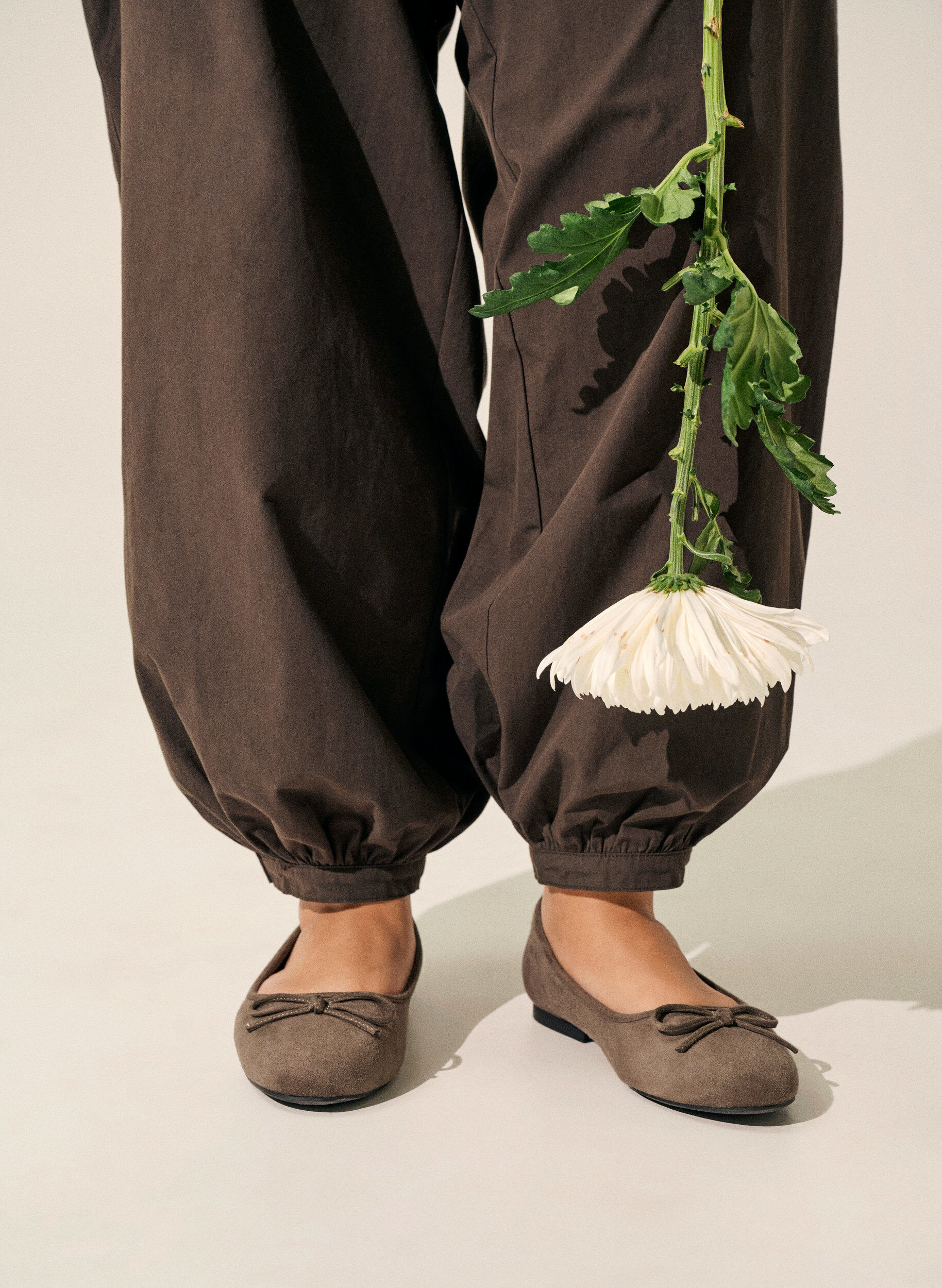 Zizzi Ballerina's in imitatiesu&egrave;de met strikje, Bruin, Image image number 0