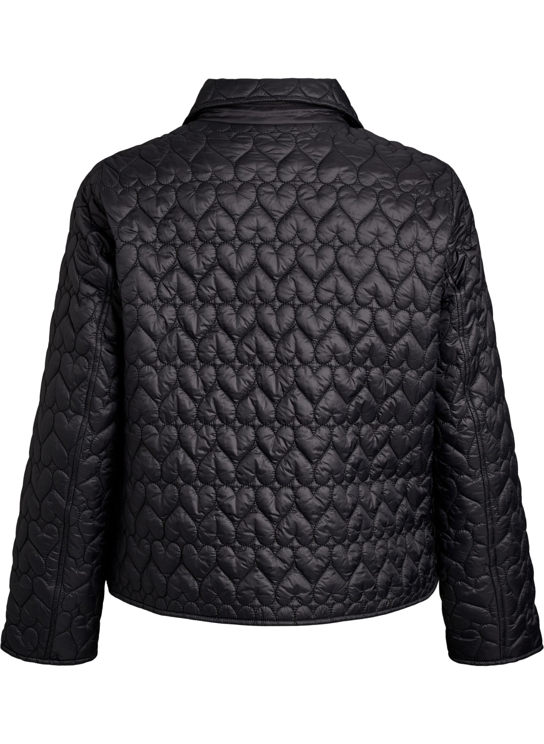 ZizziLicht gewatteerde jas met decoratieve stiksels, Zwart, Packshot image number 1