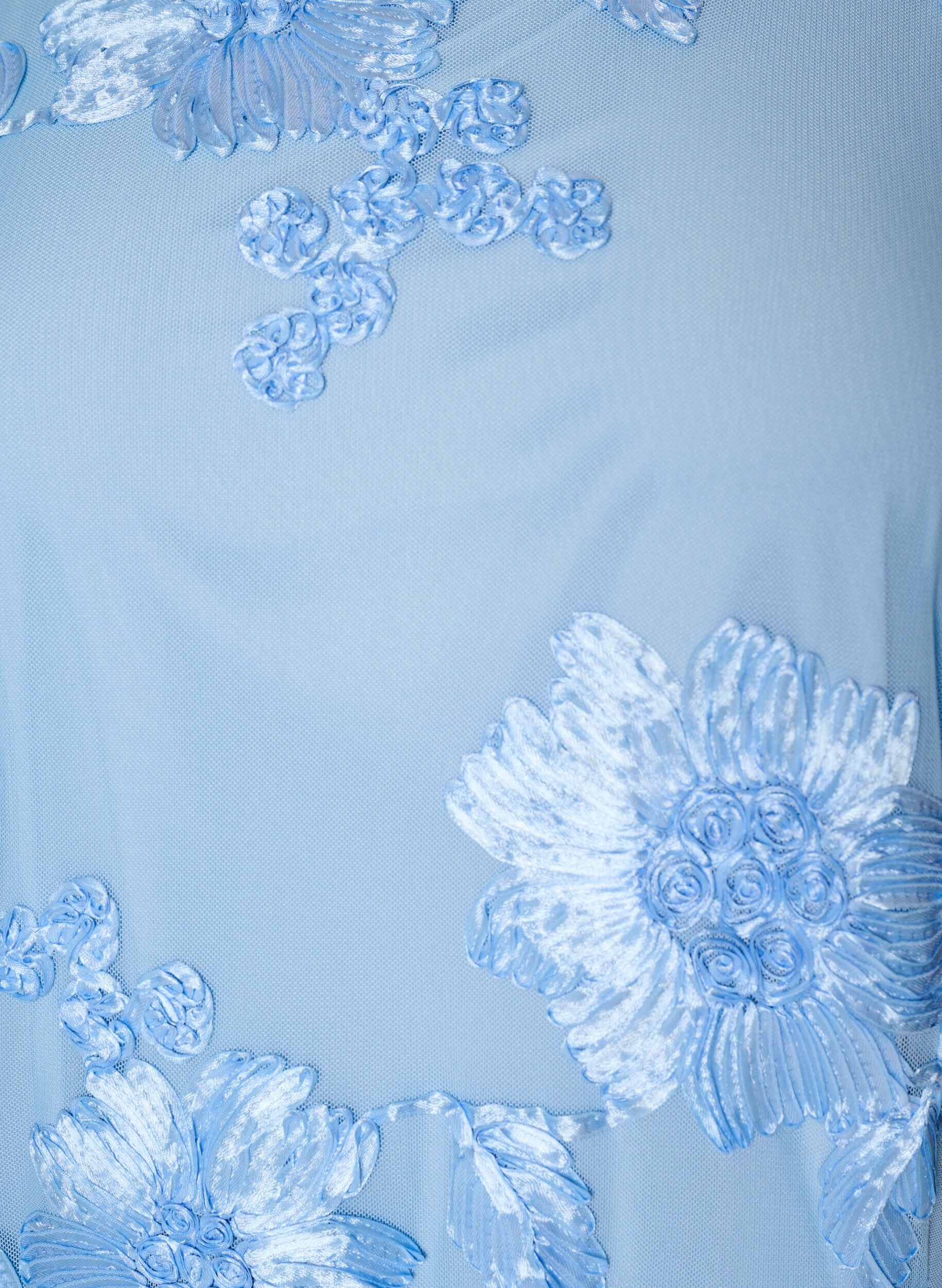 ZizziMeshjurk met bloemenapplicaties, Blauw, Packshot image number 2