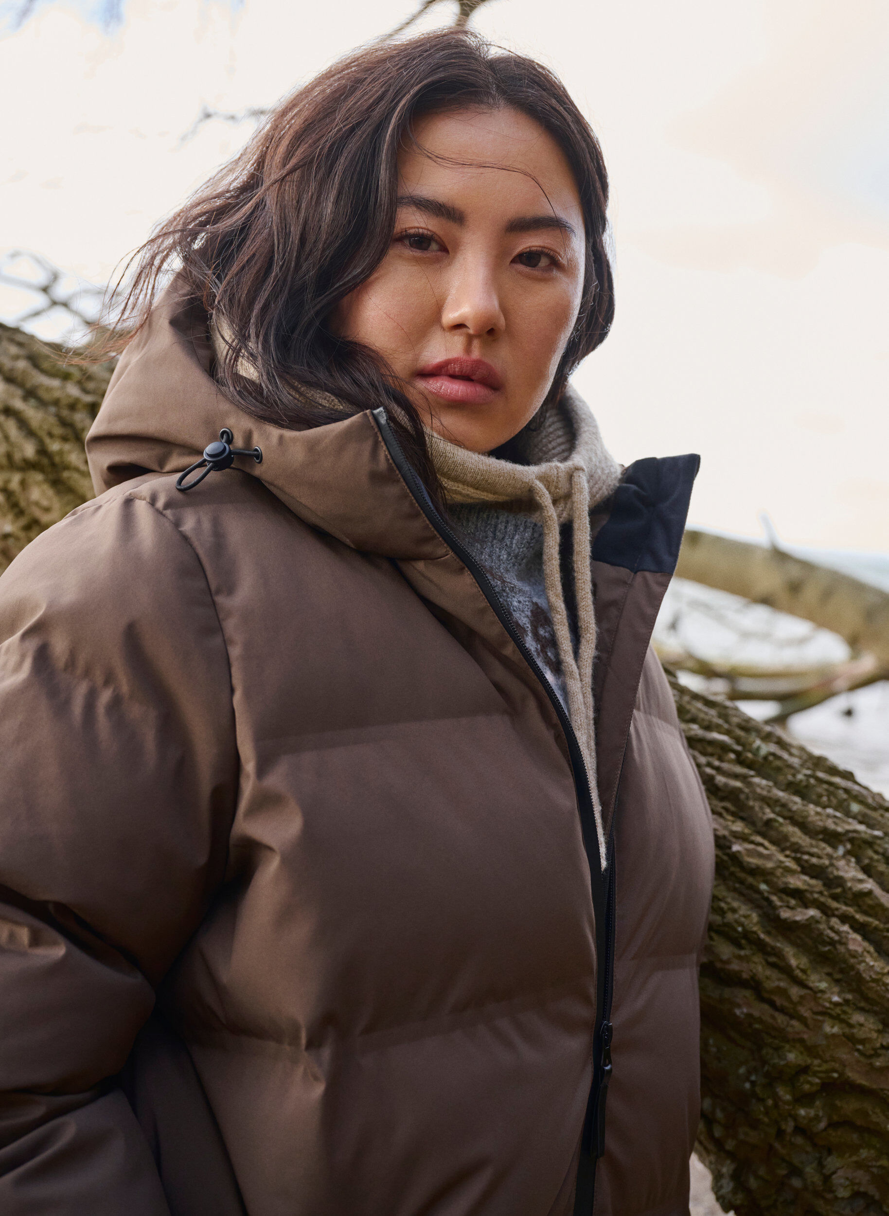 Zizzi Lange puffer winterjas met capuchon, Bruin, Image image number 1