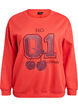 Sweatshirt met motief aan de voorkant, Rood, Packshot image number 0