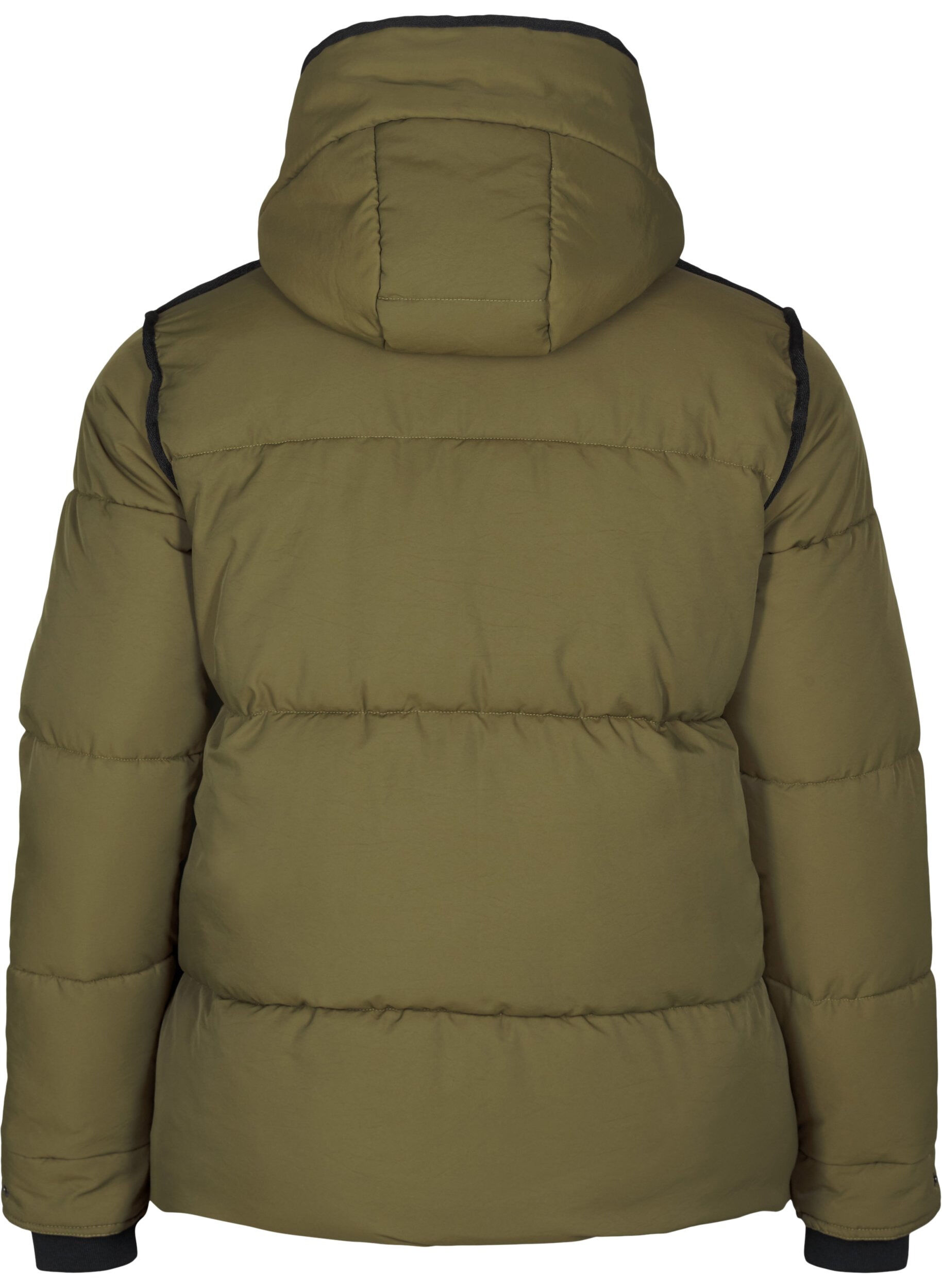 Zizzi Korte puffer jas met contrastdetails, Groen, Packshot image number 1