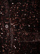 Blazer met pailletten, Bruin, Packshot image number 2