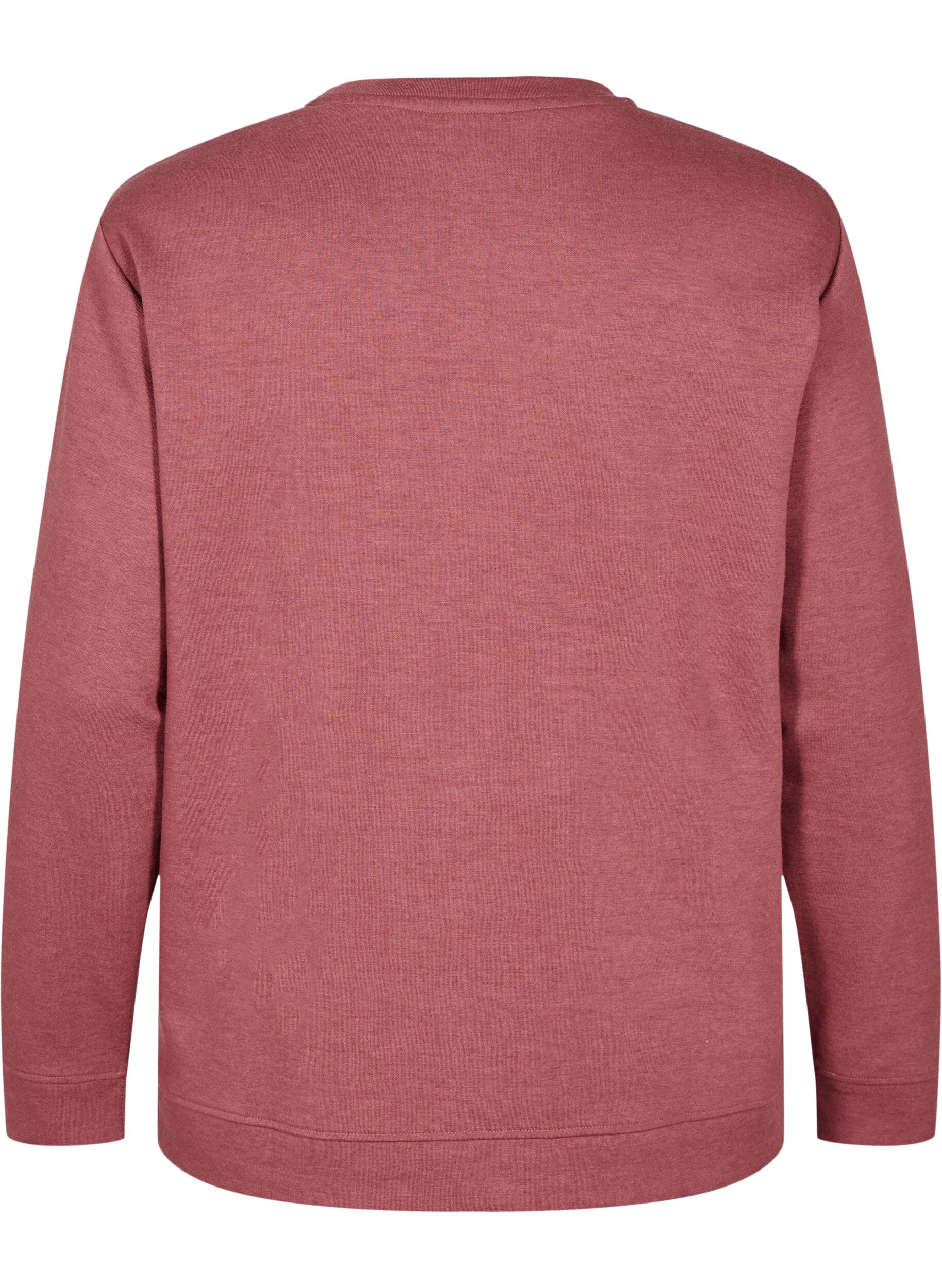 Zizzi FLASH - Sweatshirt met ronde hals, Bruin, Packshot image number 1