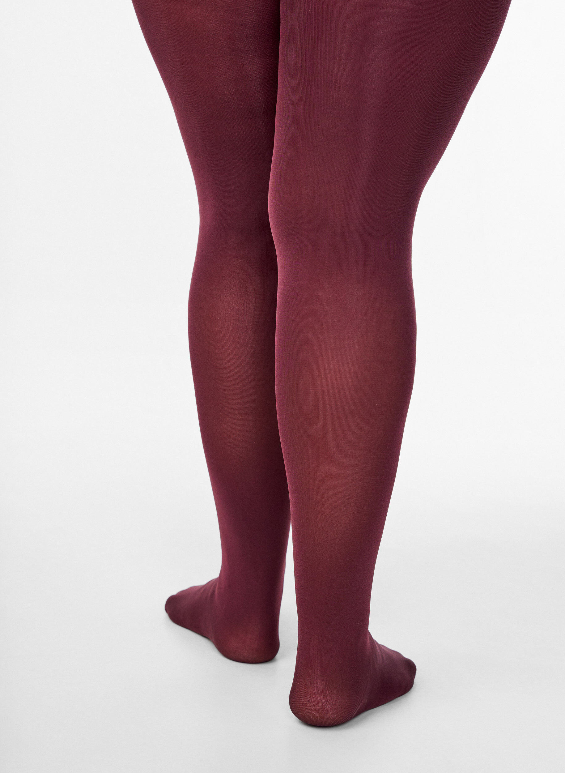 Zizzi100 denier panties, Rood, Model image number 2
