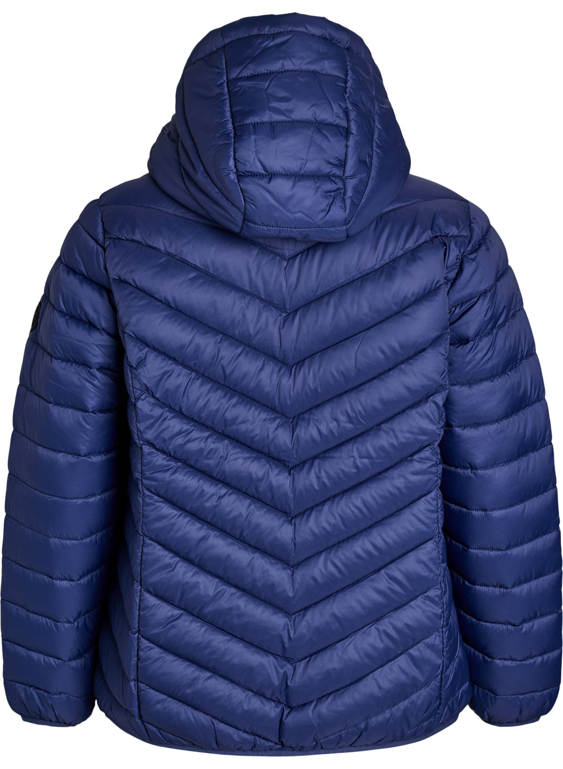 ZizziGewatteerd lichtgewicht jack met capuchon, Blauw, Packshot image number 1