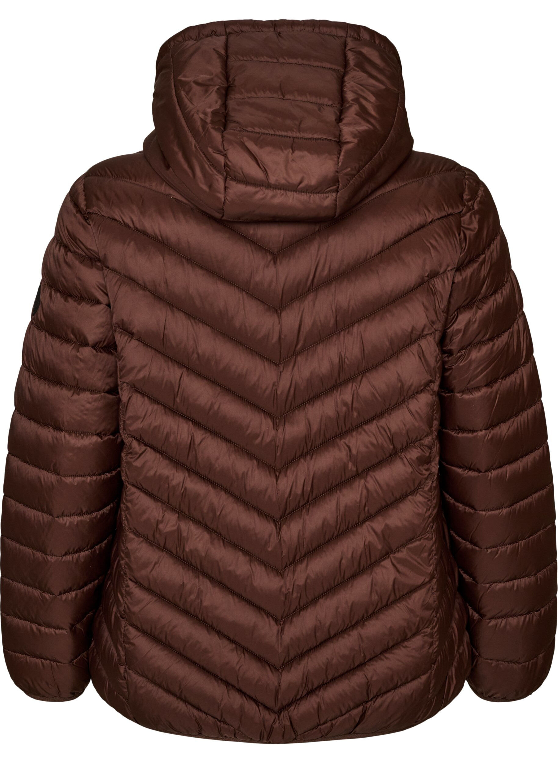 ZizziLichtgewicht jas met capuchon, Bruin, Packshot image number 1