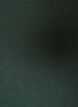 Basic T-shirt met lange mouwen en ronde hals, Groen, Packshot image number 2