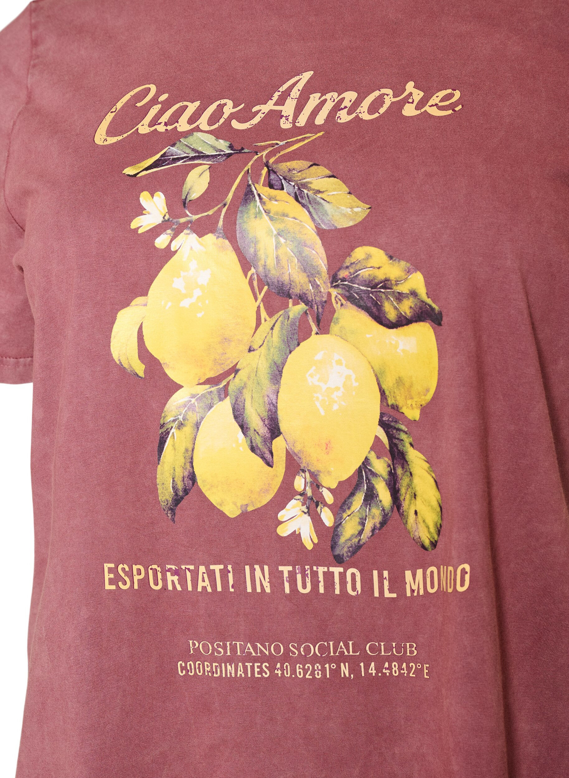 ZizziKatoenen T-shirt met print aan de voorkant en een gewassen look, Rood, Packshot image number 2