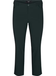 Klassieke broek van viscosemix, Groen