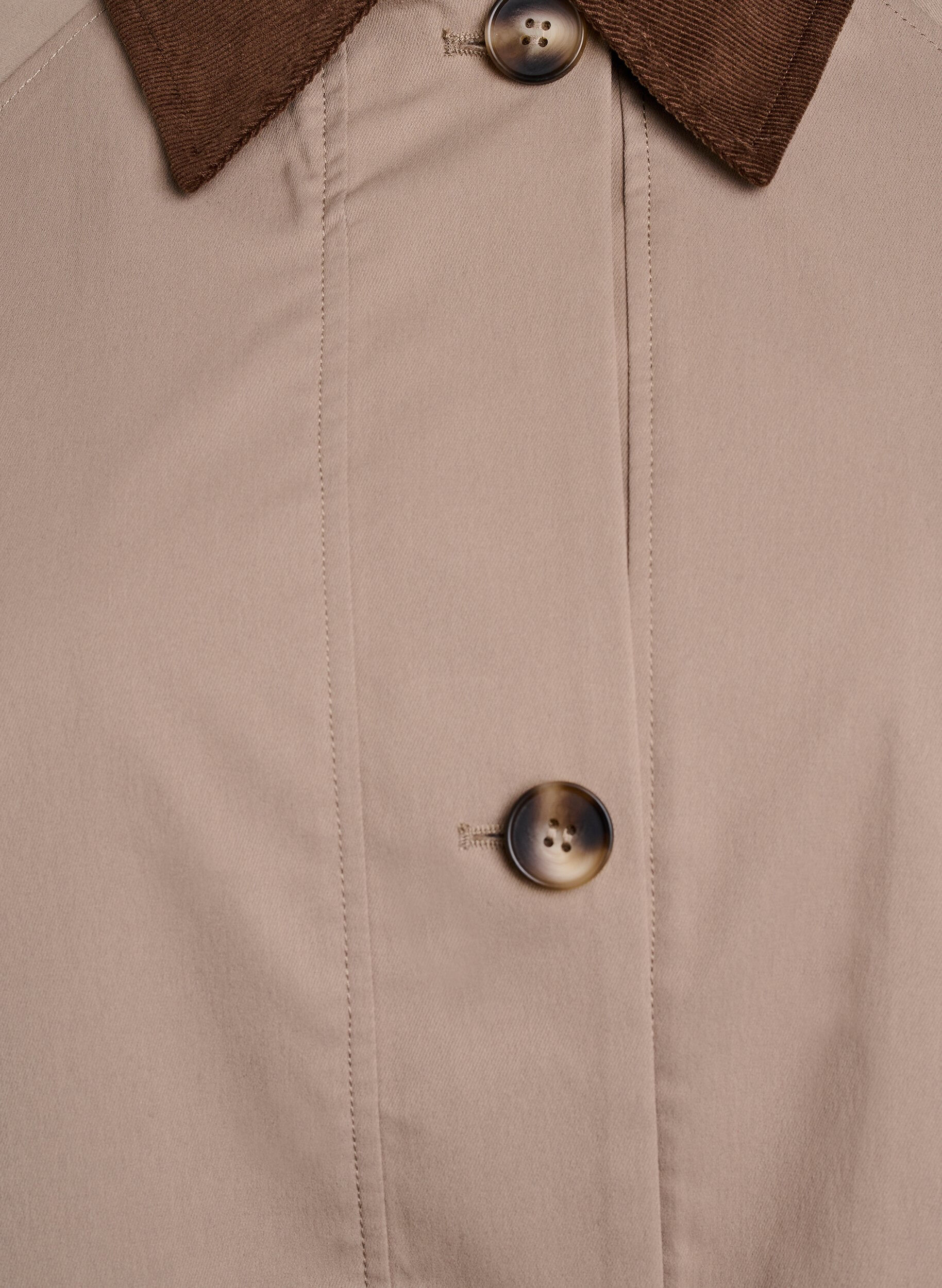 Zizzi Voorjaarsjas met contrasterende ribfluweel details, Desert Taupe, Packshot image number 2