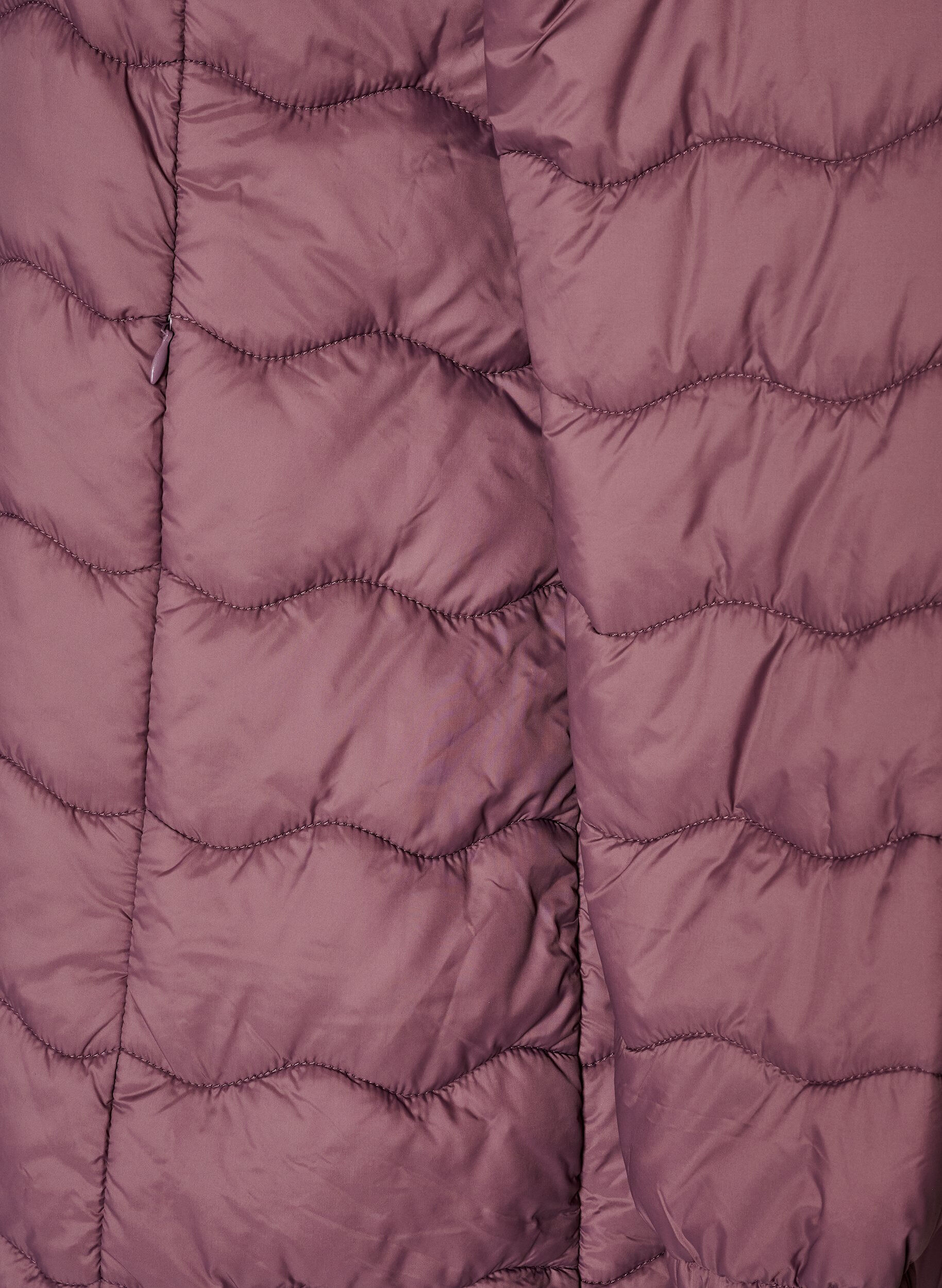 ZizziGewatteerde jas, Roze, Packshot image number 3