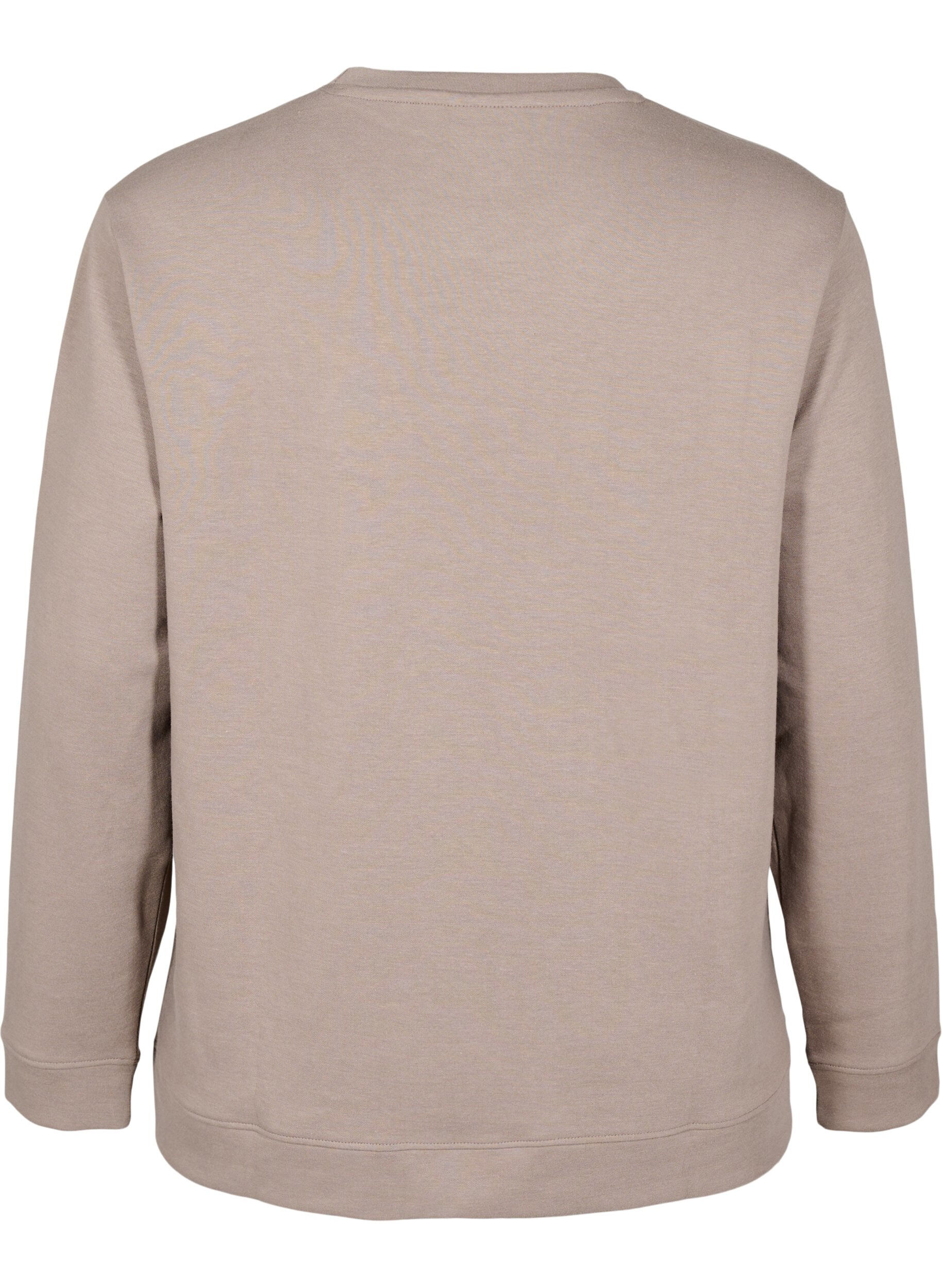 Zizzi FLASH - Sweatshirt met ronde hals, Beige, Packshot image number 1